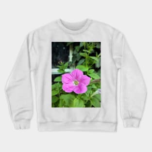 Petunia in front of the window Crewneck Sweatshirt